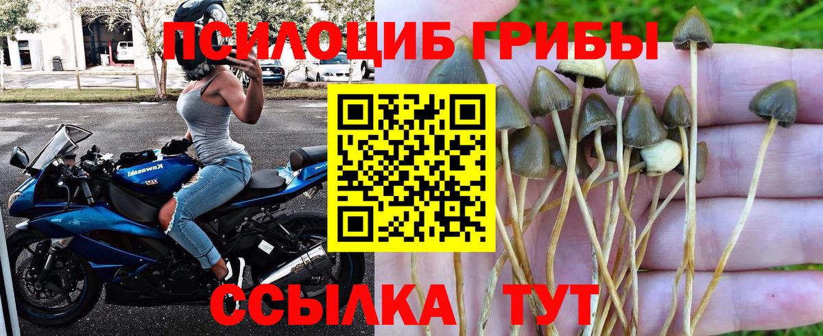 Галлюциногенные грибы MAGIC MUSHROOMS  Вход с VPN  Галлюциногенные грибы Psilocybe  цена   Красногорск 